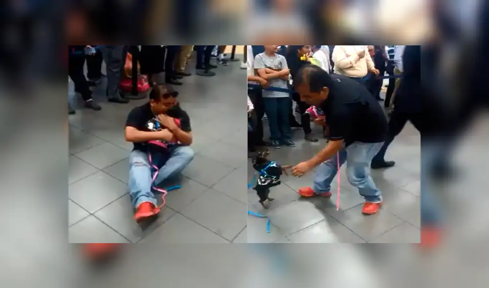 Facebook: mascotas de venezolano llega al Perú y el video enternece a miles