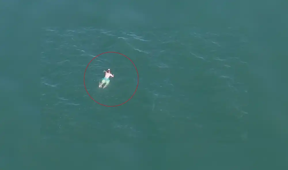 YouTube: Se lanzó al mar para huir de la policía, pero allí se topó con algo peor [VIDEO]