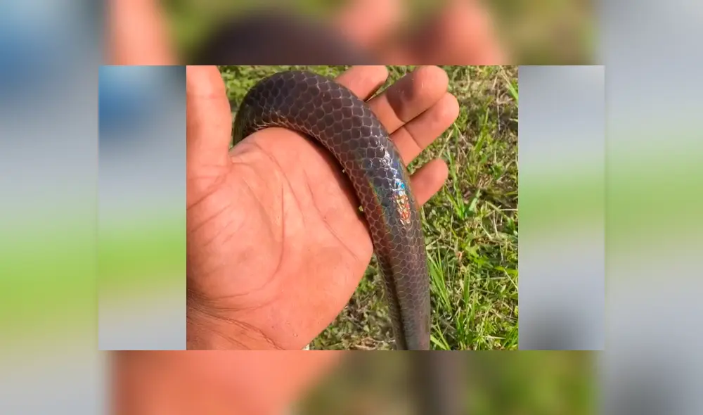 Desliza hacia la izquierda para ver lo que sucedió con el joven en el video viral de Facebook.