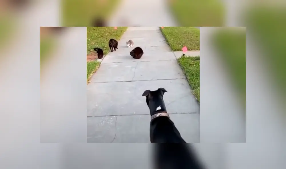 Desliza la imagen de Facebook para ver todas las fotos. Desliza la imagen de Facebook para ver todas las fotos.