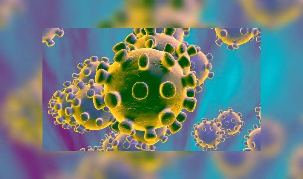 WhatsApp recomienda no difundir información falsa sobre el coronavirus.