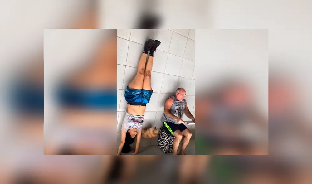 Desliza las imágenes para observar la inesperada acción de un perro para revelar la mentira de su dueña.