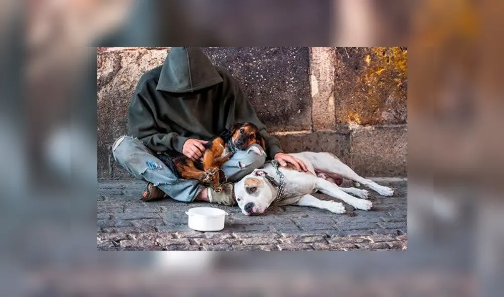 Indigente que fue golpeado salvajemente llora antes de morir con su perro al lado [VIDEO]