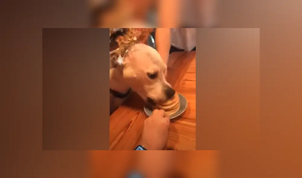 Desliza hacia la izquierda para ver las imágenes del viral de Facebook. Foto: Captura.