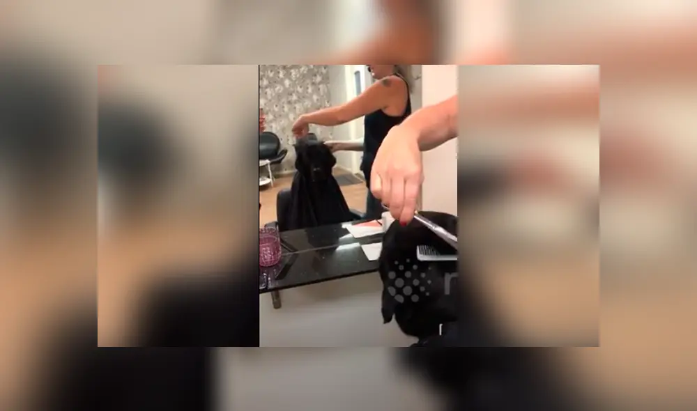 Desliza hacia la izquierda para ver la reacción de un perro cuando cortaban sus pelos. Video viral de YouTube.