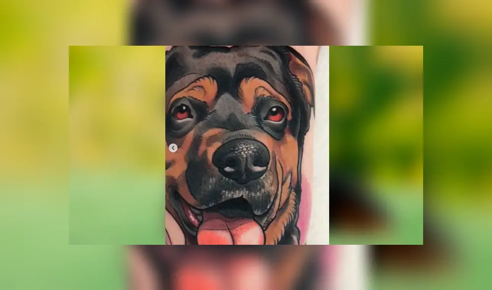Desliza las fotografías para ver el increíble tatuaje que se hizo un joven en honor a su difunta mascota. Foto: Captura/ goksisdead
