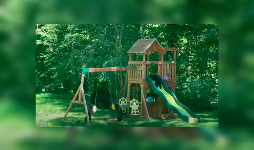 Desliza las imágenes para observar las travesuras de una mamá oso junto a sus crías al invadir una casa. Foto: ViralHog. Desliza las imágenes para observar las travesuras de una mamá oso junto a sus crías al invadir una casa. Foto: ViralHog.