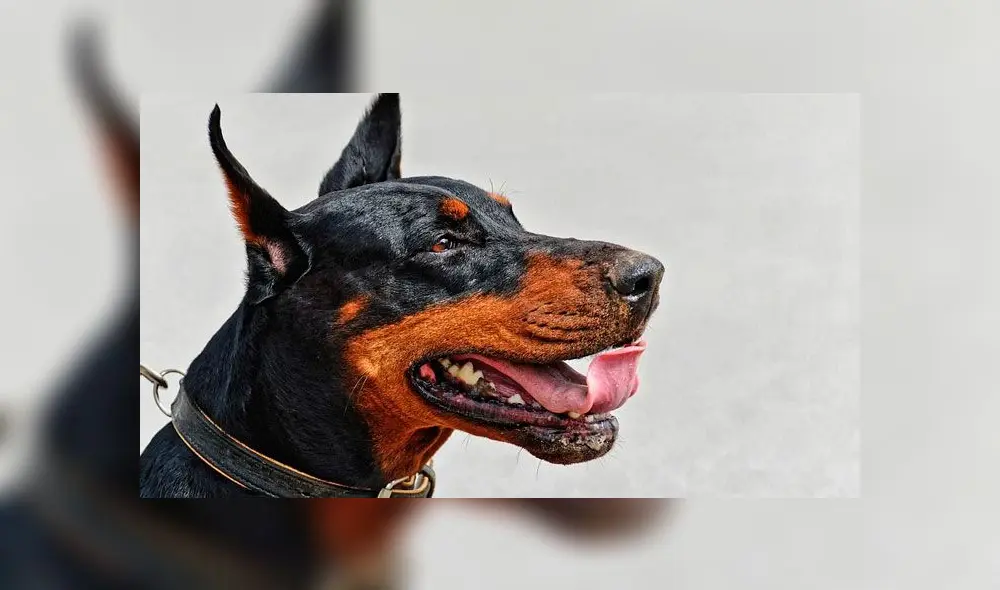 El ataque habría sucedido cerca de las 12 a. m. (Foto: Pixabay) El ataque habría sucedido cerca de las 12 a. m. (Foto: Pixabay)