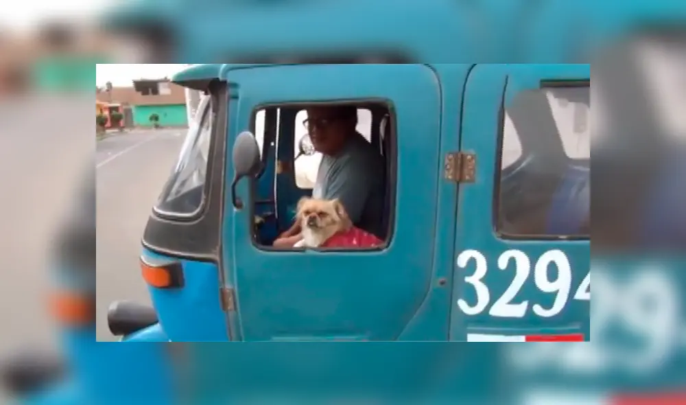 En Facebook, un peruano recorre las calles de Huacho al lado de su inseparable mascota de nombre ‘Pepa’.