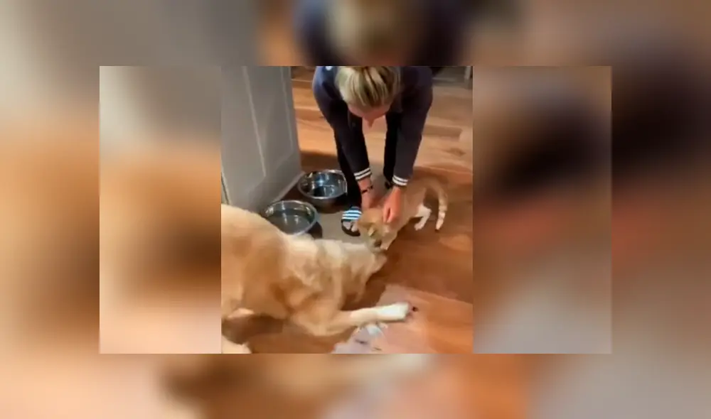 Desliza para ver los momentos más divertidos del video que se hizo viral en YouTube. Desliza para ver los momentos más divertidos del video que se hizo viral en YouTube.