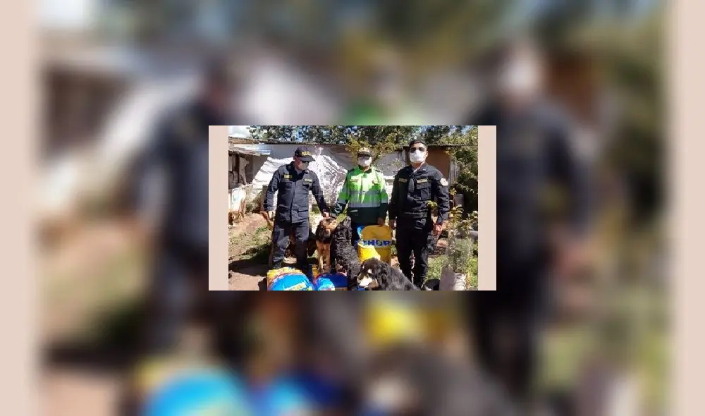 Policías entregaron alimentos para canes en Cusco.