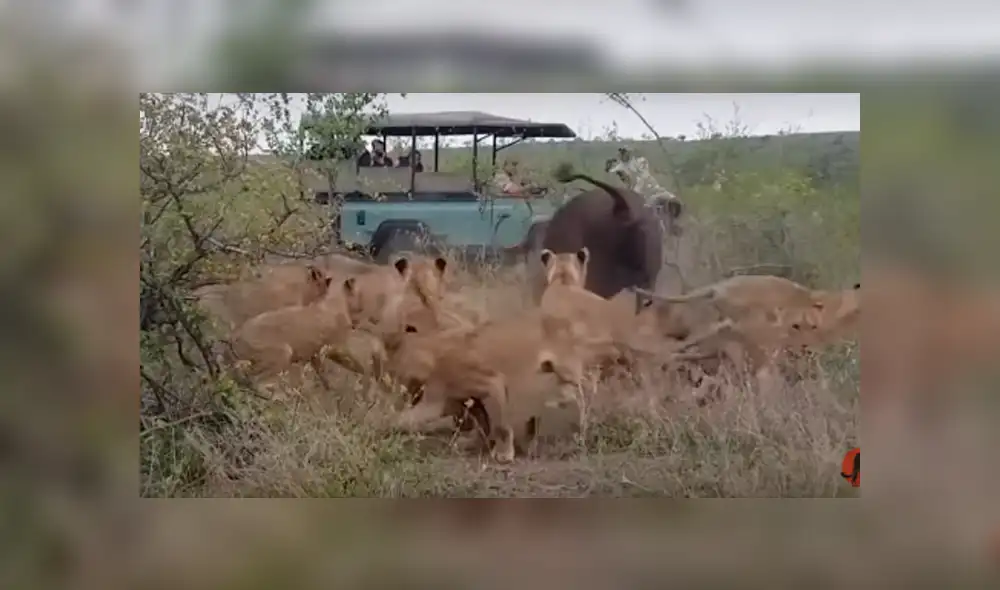 Desliza para ver todas las imágenes de YouTube. Foto: captura