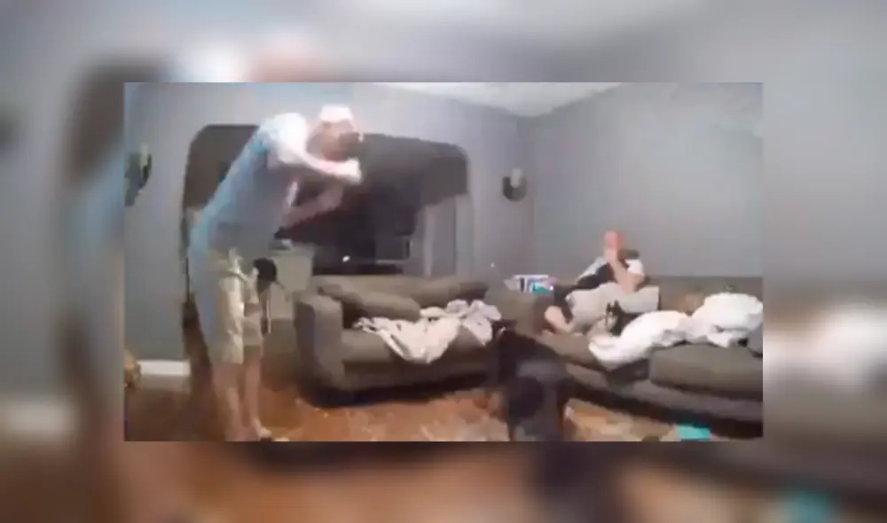 Desliza las imágenes hacia la izquierda para apreciar el terrible accidente que protagonizó un perro. Desliza las imágenes hacia la izquierda para apreciar el terrible accidente que protagonizó un perro.