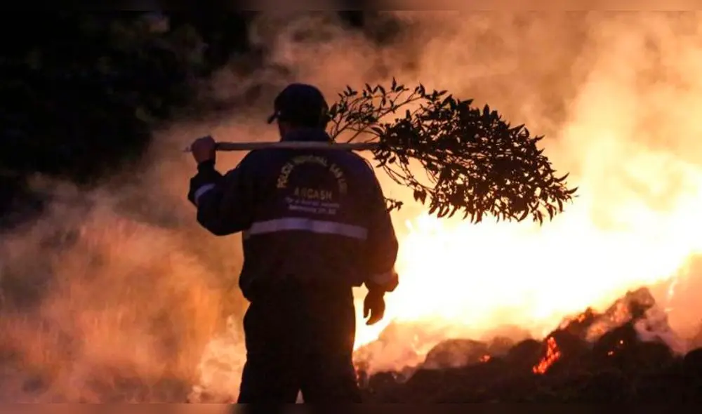 incendio forestal incendio forestal