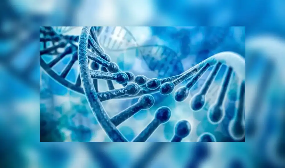 Hombre adquiere el ADN de persona que le donó su médula ósea Hombre adquiere el ADN de persona que le donó su médula ósea