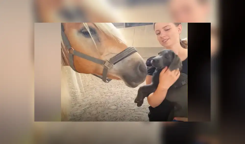 Desliza hacia la izquierda para ver las imágenes del viral de Facebook.