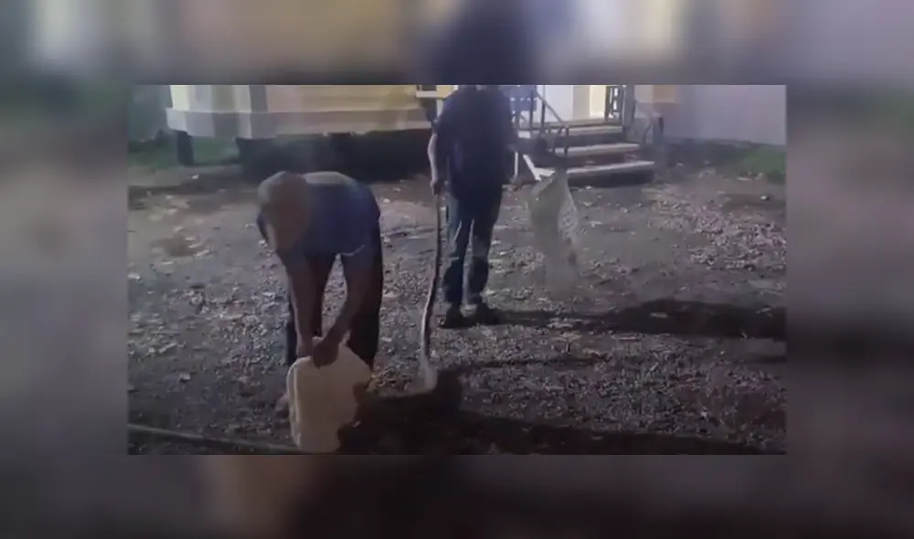 Los pobladores de Tailandia atraparon a una serpiente pitón de 3 metros de largo. Foto: ViralPress