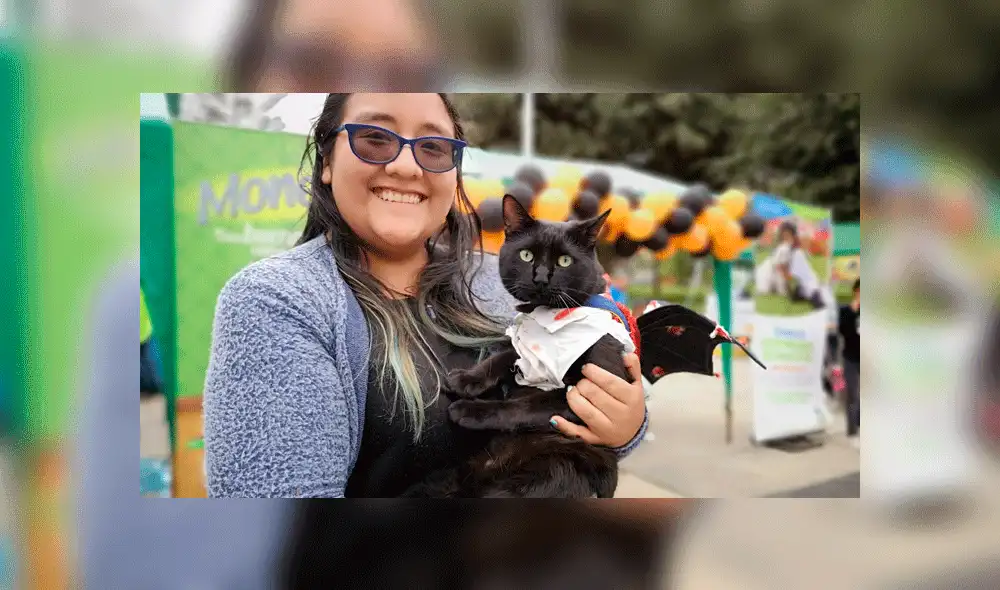 Oveja participa en concurso de mascotas por Halloween disfrazada de unicornio [FOTOS]
