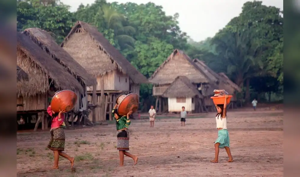 Créditos: Red Verde.