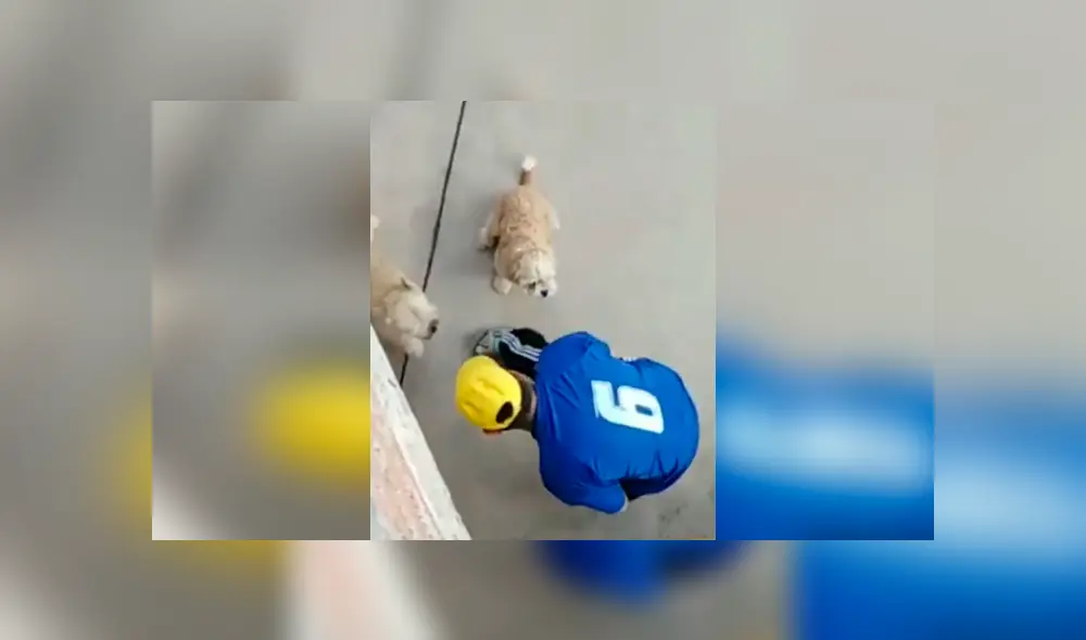 Desliza las imágenes para observar el amoroso momento entre un señor junto a las mascotas de su hija. Foto: Captura. Desliza las imágenes para observar el amoroso momento entre un señor junto a las mascotas de su hija. Foto: Captura.