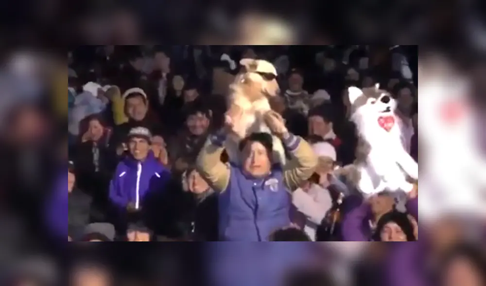 En Facebook, un señor sorprendió al acudir a un concierto de cumbia acompañado de su mascota y fueron captados bailando.
