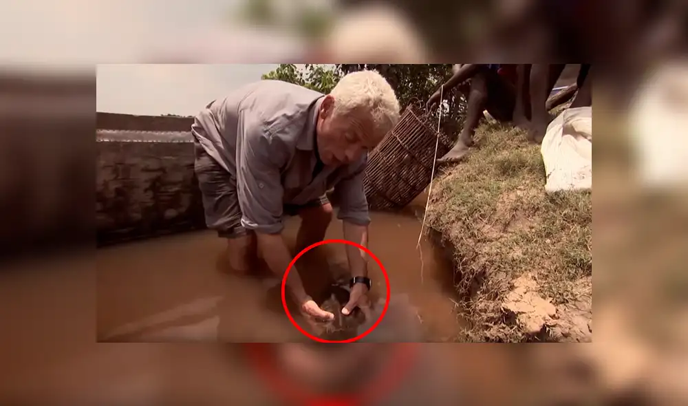 Si quieres conocer la identidad del descomunal pez viral de YouTube, revisa nuestra galería deslizando cada imagen hacia la izquierda.