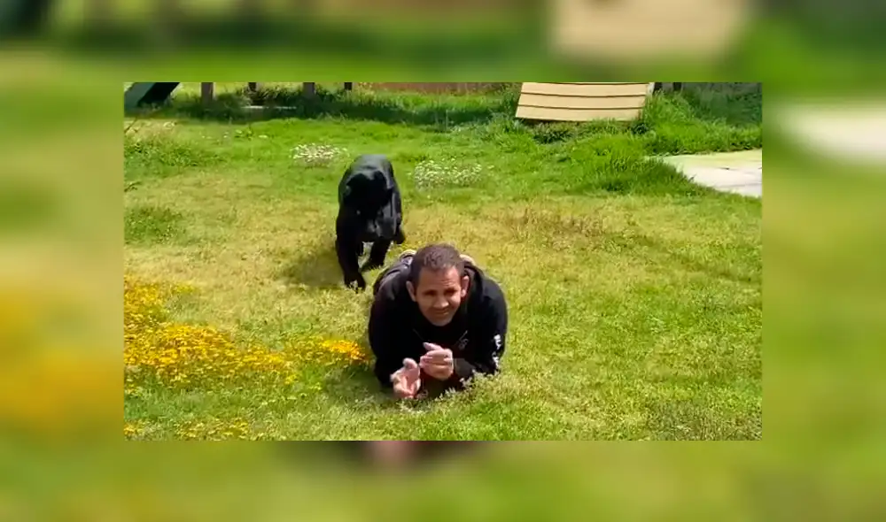 Desliza hacia la izquierda las imágenes que muestran el momento en que el feroz depredador ataca a su cuidador. Imágenes son virales en YouTube.