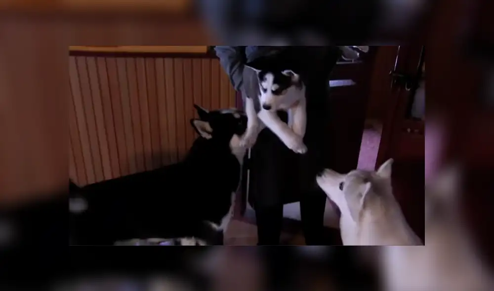 Desliza para ver los momentos más tiernos del emotivo video que se hizo viral en Facebook. Desliza para ver los momentos más tiernos del emotivo video que se hizo viral en Facebook.