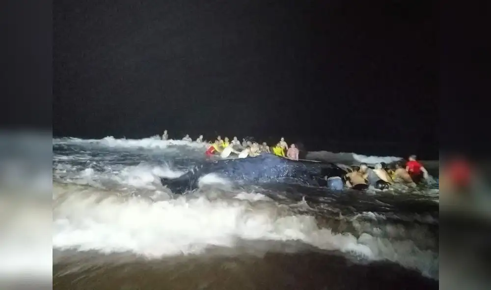 Ballena vara en mar de Tumbes