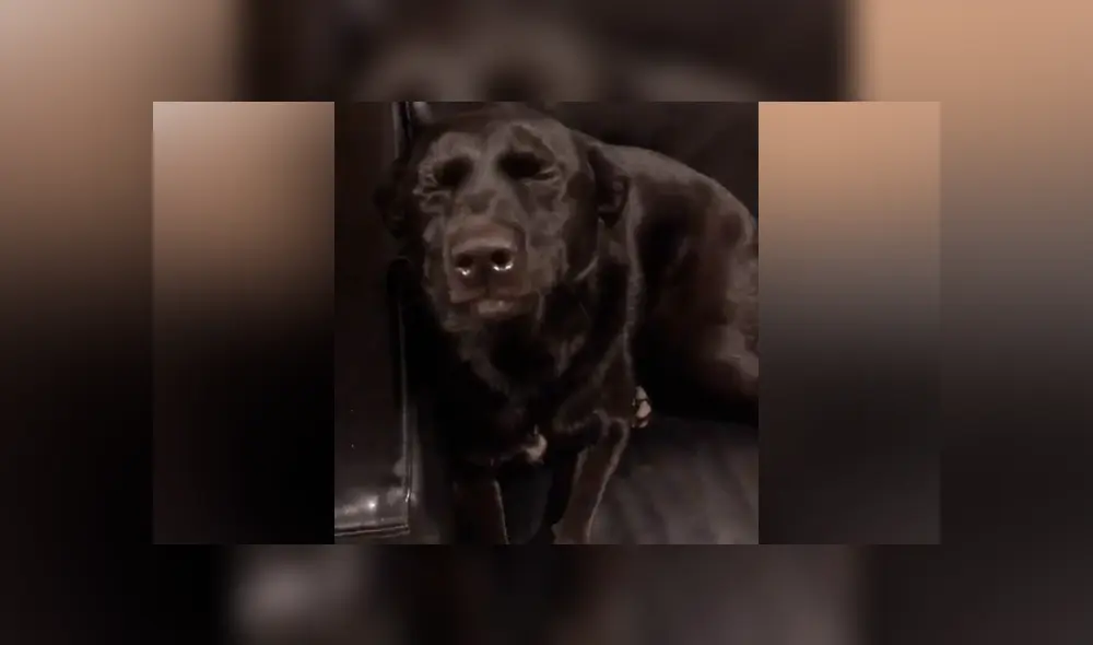 Desliza para ver los momentos más divertidos del video que se hizo viral en Facebook. Desliza para ver los momentos más divertidos del video que se hizo viral en Facebook.