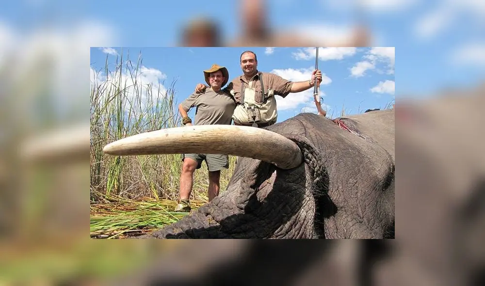 Contra el tráfico de marfil