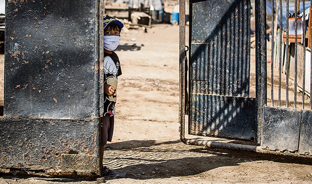 criadero chanchos coronavirus covid-19 cerdos pobreza