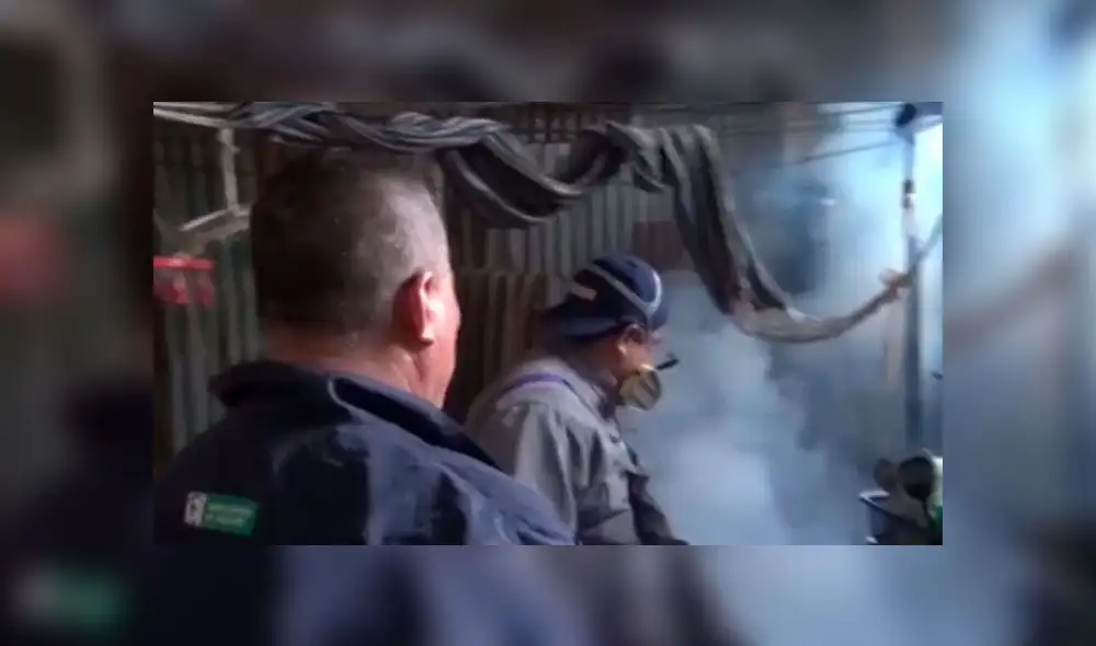 Declaran emergencia sanitaria en Loreto, Madre de Dios y San Martín por dengue. Créditos: Captura Canal N. Declaran emergencia sanitaria en Loreto, Madre de Dios y San Martín por dengue. Créditos: Captura Canal N.