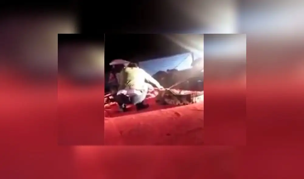 Impacto en YouTube por brutal ataque de cocodrilo a domador en circo | VIDEO