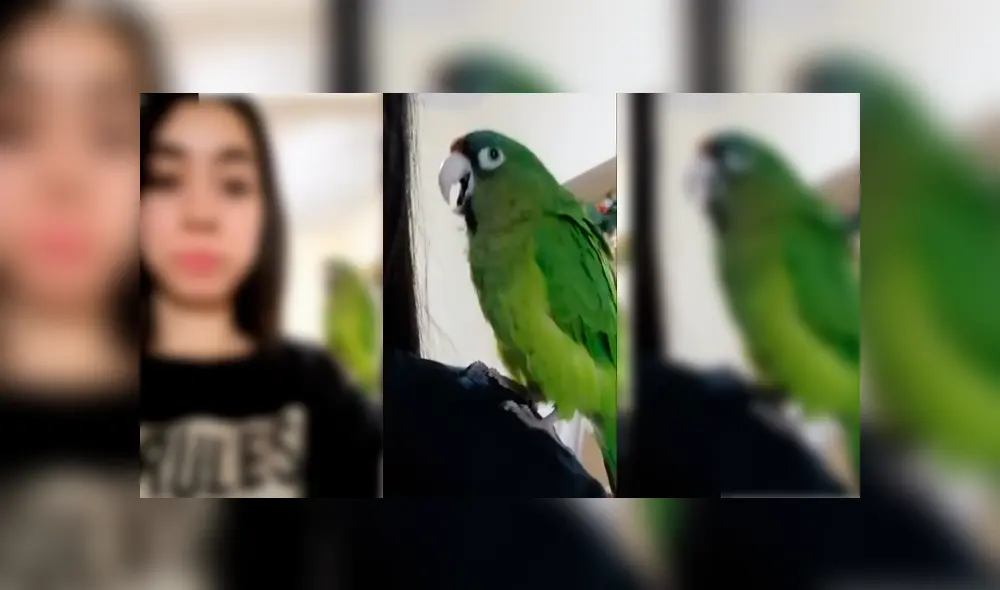 Desliza para ver los detalles del video viral publicado en YouTube. Foto: Captura.