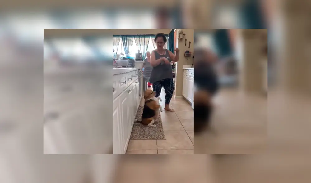 En Facebook, una joven descubrió el momento exacto que su madre y perro bailaron una canción de Sebastián Yatra. En Facebook, una joven descubrió el momento exacto que su madre y perro bailaron una canción de Sebastián Yatra.
