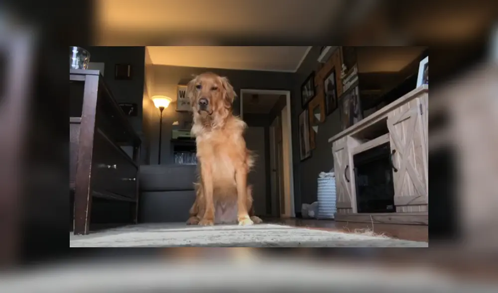 Desliza hacia la izquierda para ver las imágenes del viral de YouTube. Desliza hacia la izquierda para ver las imágenes del viral de YouTube.