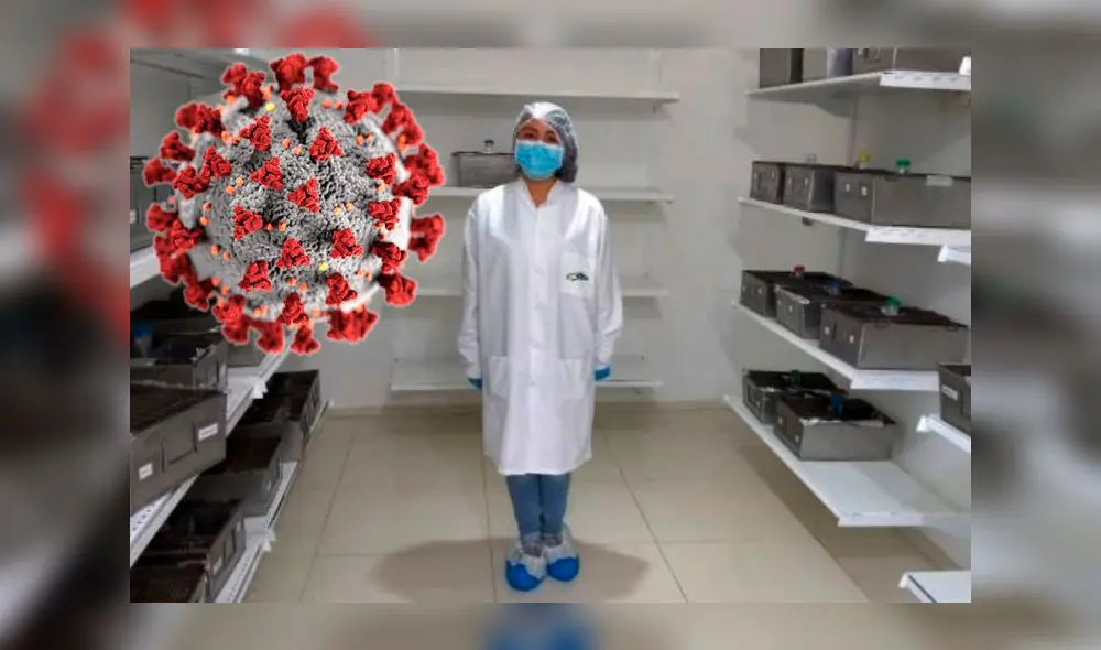 coronavirus coronavirus