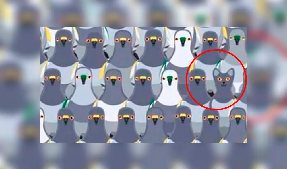 Desliza la izquierda para ver este nuevo reto visual que ha sorprendido a todos en Facebook. Desliza la izquierda para ver este nuevo reto visual que ha sorprendido a todos en Facebook.