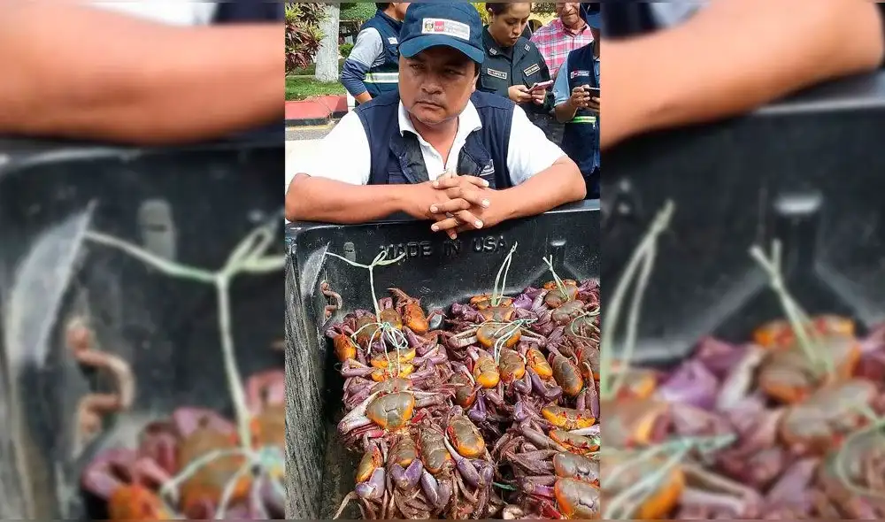 Inicia la veda del cangrejo en Tumbes 