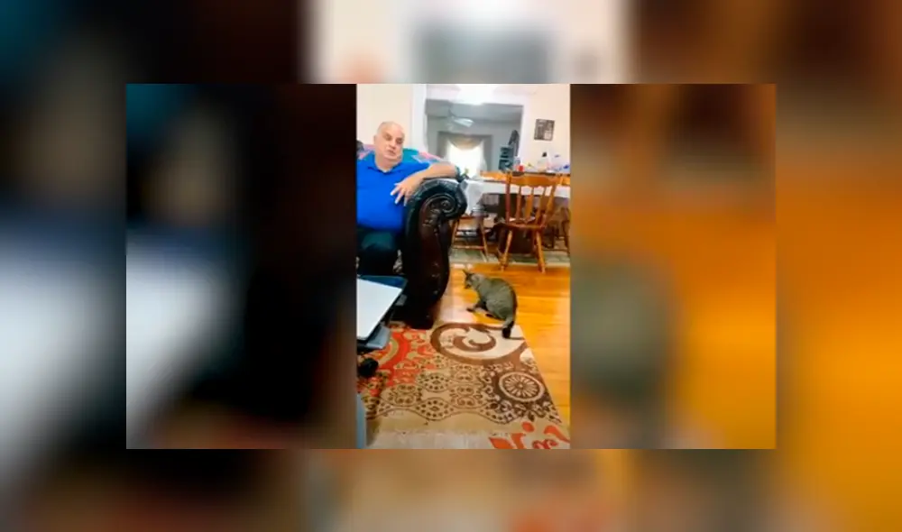 Desliza las imágenes para apreciar la emotiva escena protagonizada por un señor junto al gato de su hija. Foto: Caters Clips. Desliza las imágenes para apreciar la emotiva escena protagonizada por un señor junto al gato de su hija. Foto: Caters Clips.