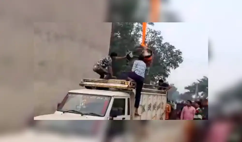 El toro subió solo hasta lo alto de la torre obligando a que sus rescatistas usen una grúa para poder bajarlo. Foto: captura