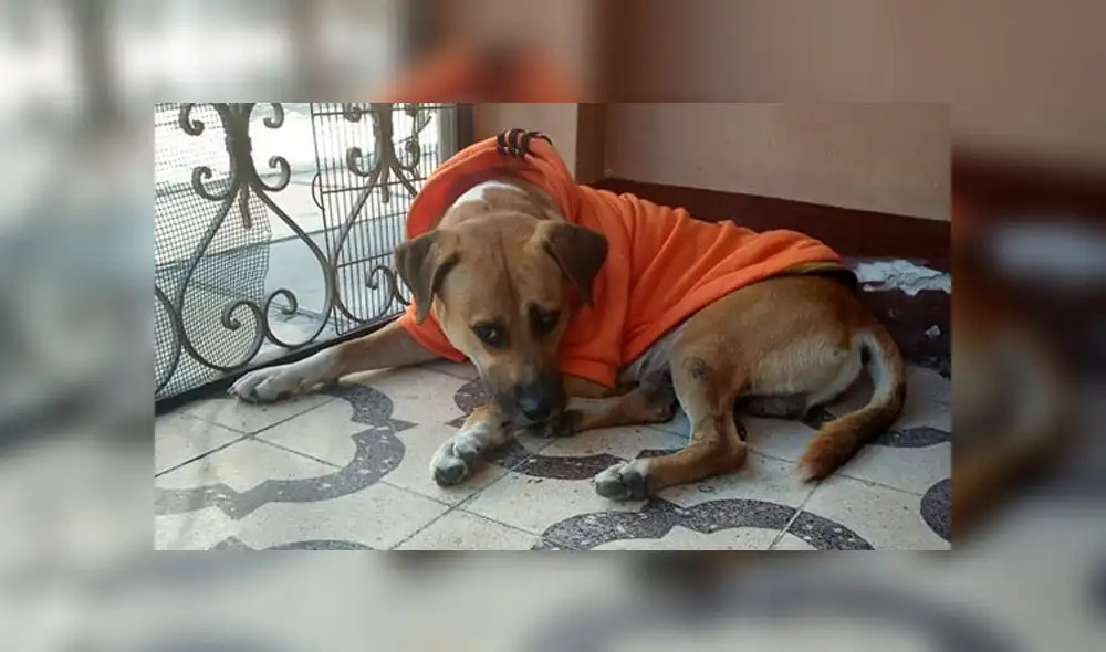 Coronavirus Coronavirus