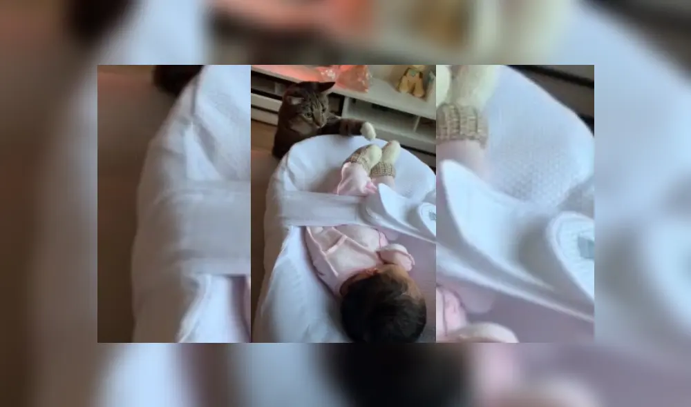 Desliza hacia la izquierda para ver más del video viral. Desliza hacia la izquierda para ver más del video viral.