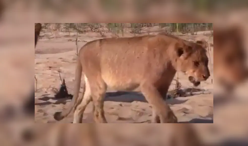 Desliza la imagen de YouTube para ver todas las imágenes. Desliza la imagen de YouTube para ver todas las imágenes.