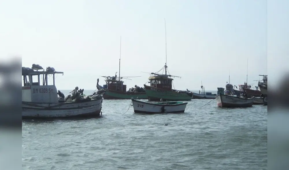 Pescadores artesanales de puerto Salaverry Pescadores artesanales de puerto Salaverry