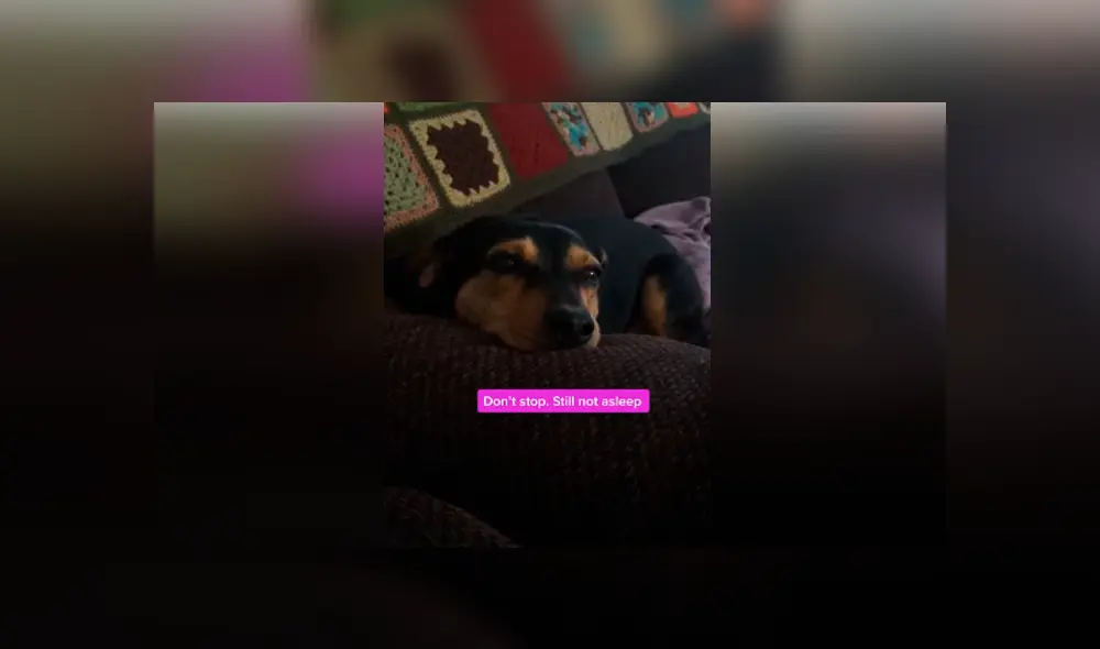 Desliza hacia la izquierda para ver las imágenes del viral de Facebook. Desliza hacia la izquierda para ver las imágenes del viral de Facebook.