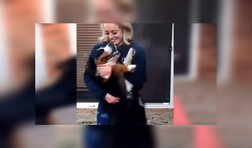 En Facebook, una joven intentó realizar un tutorial de yoga en su casa y no imaginó que su perro lo evitaría.