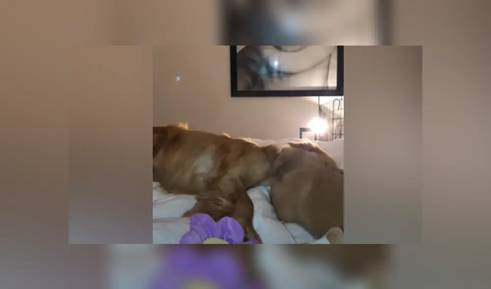 Desliza hacia la izquierda para ver las imágenes del viral de Facebook. Desliza hacia la izquierda para ver las imágenes del viral de Facebook.