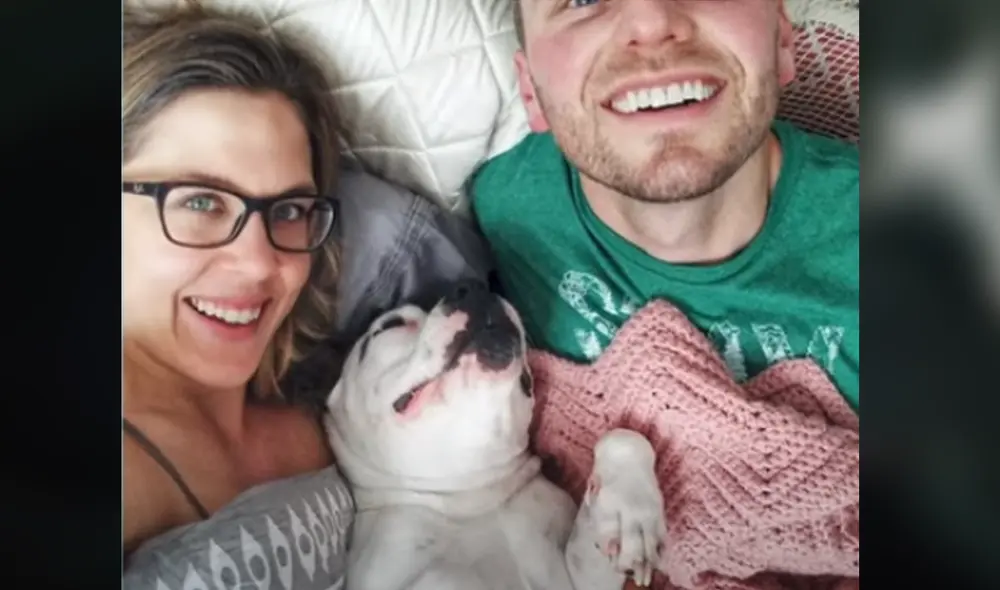 Desliza hacia la izquierda para ver las imágenes del viral de YouTube. Foto: El Dodo.